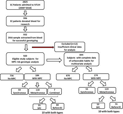 Risk Factors and Genetic Biomarkers of Multiple Primary Cancers in Esophageal Cancer Patients